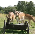 Panorama Ferien Harz Szálloda Güntersberge