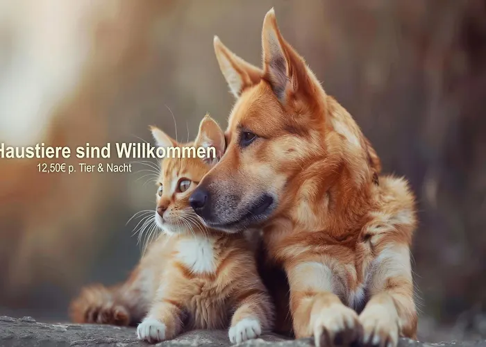 Szálloda Panorama Ferien Harz 3*