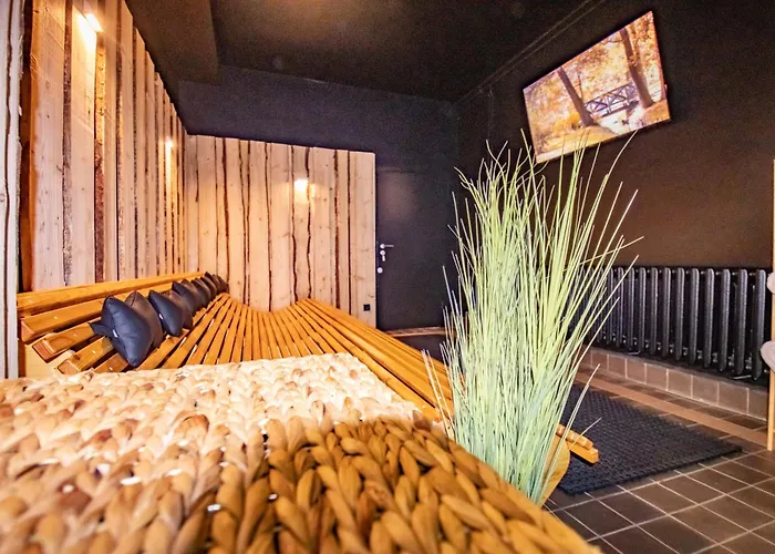 מלון Panorama Ferien Harz 3*